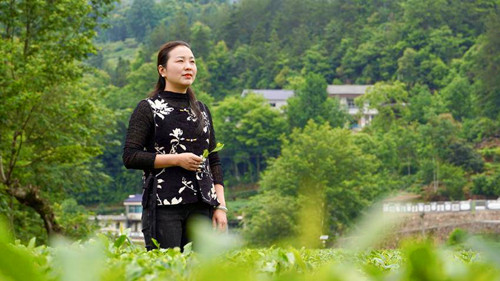 图片7.jpg