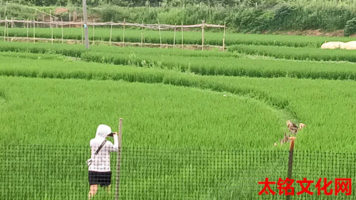 微信图片_20250729180002.jpg