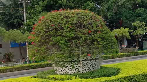 图片8.jpg