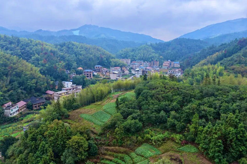 1762746632109734.jpg 640_副本.jpg