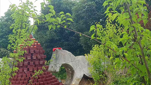 1768186621231621.jpg 图片5.jpg