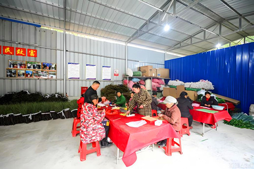 1768270129189050.jpg 图片5.jpg