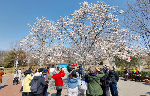 1774102669826120.jpg QQ20260321-221300_副本.jpg