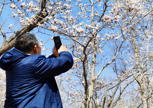 1774102857193746.jpg QQ20260321-221855_副本.jpg