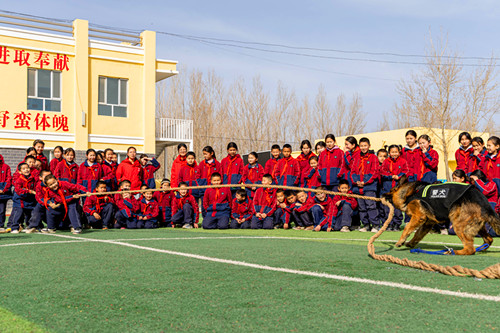 图为警犬与学生拔河互动画面.jpg