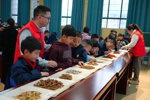 1774445338767376.jpg 图片4.jpg