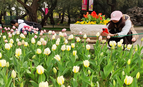 1775348259270716.jpg 图片1_副本.jpg